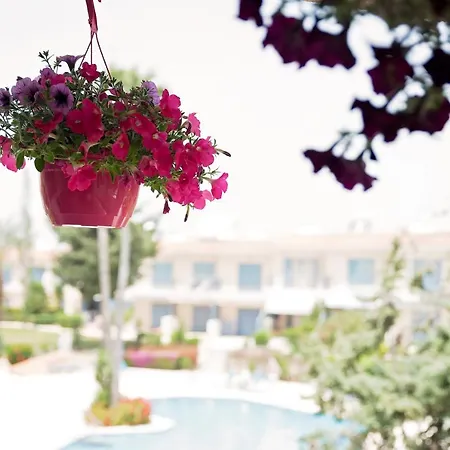 Holiday Apartment Walking Distance To The Sea Daire *